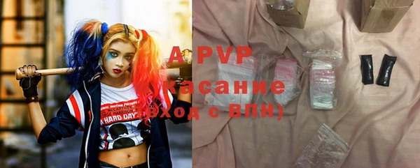 крисы Бородино