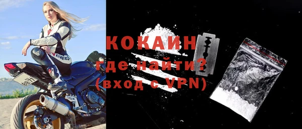 крисы Бородино