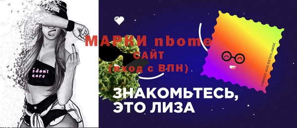 крисы Бородино