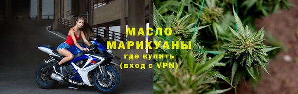 крисы Бородино