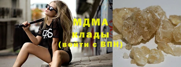 крисы Бородино