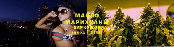 крисы Бородино