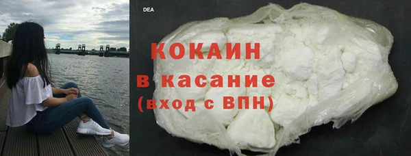 крисы Бородино