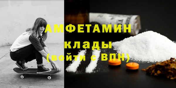 крисы Бородино