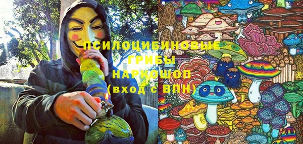 крисы Бородино