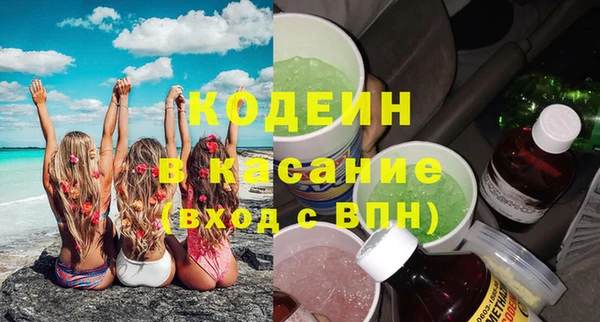 крисы Бородино