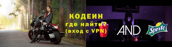 крисы Бородино