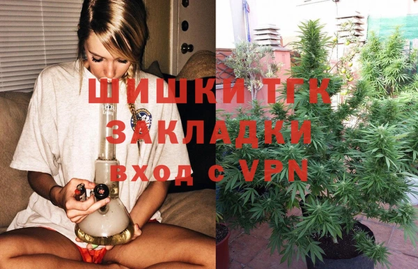крисы Бородино