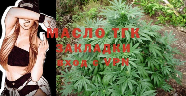 крисы Бородино