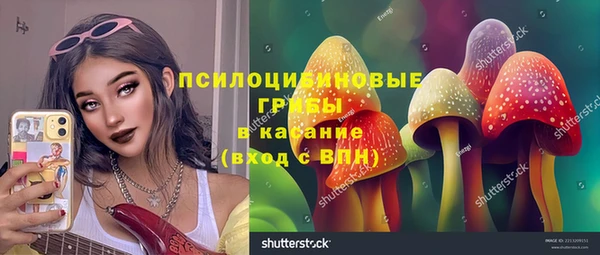 крисы Бородино